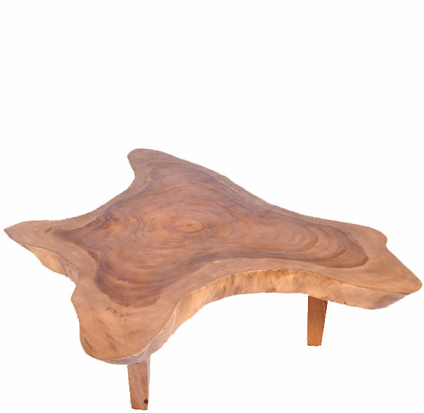 Free Form One Slab Living Edge Coffee Table 7