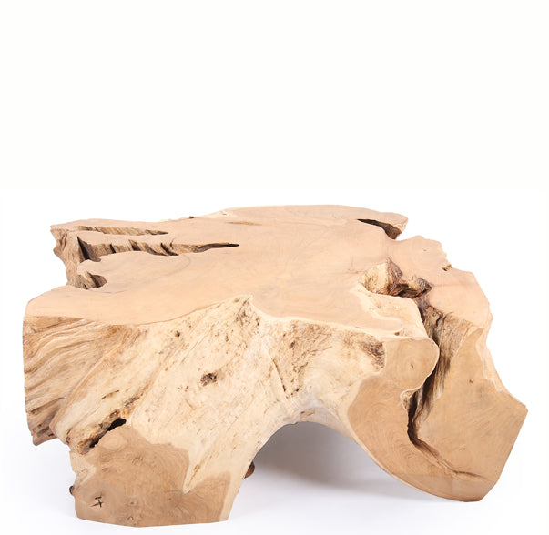 Free Form Teak Root Coffee Table