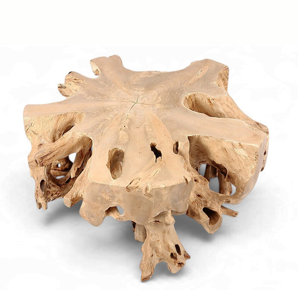 Free Form Teak Root Coffee Table