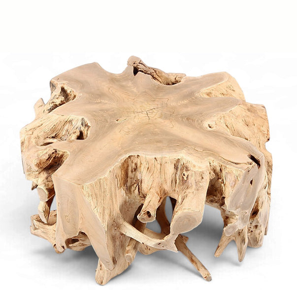 Free Form Teak Root Coffee Table 2