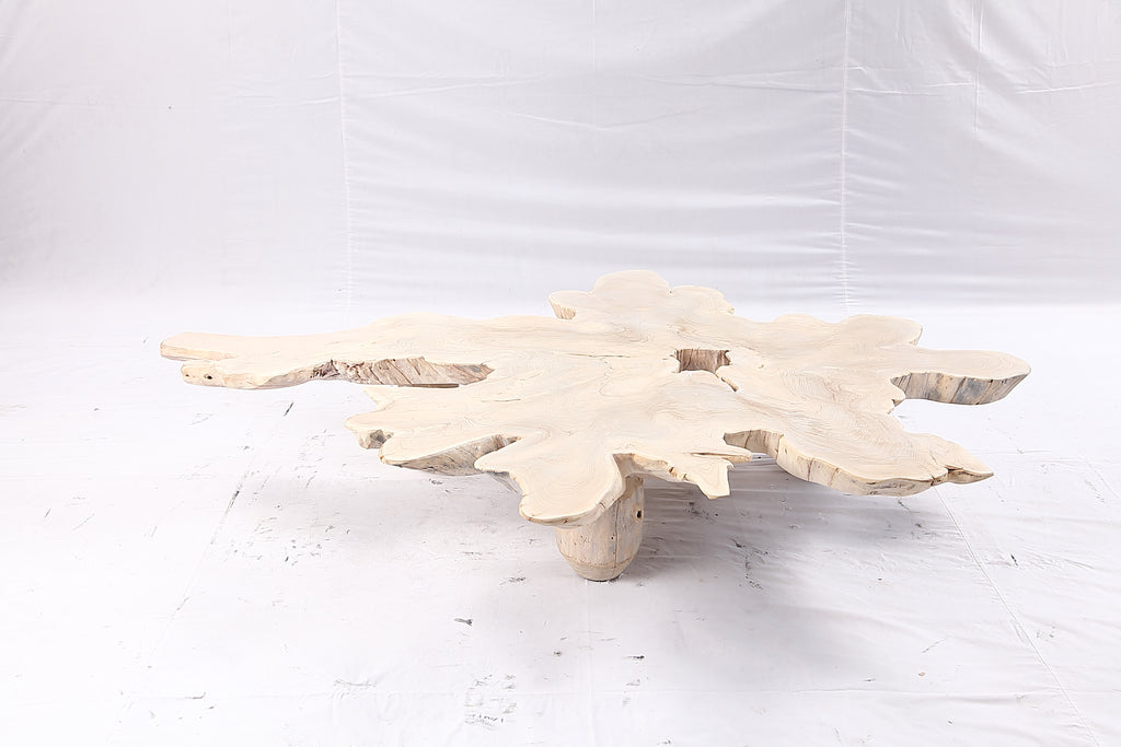 Free Form Living Edge Bleached One Slab Coffee Table 281