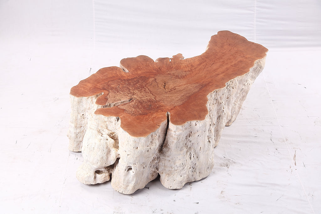 Organic Lychee Block Coffee Table W1