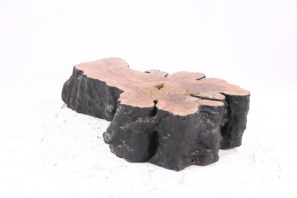 Organic Lychee Block Coffee Table B1