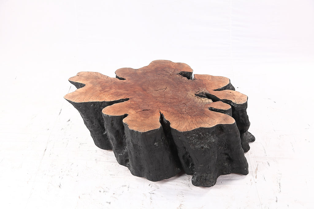 Organic Lychee Block Coffee Table B3