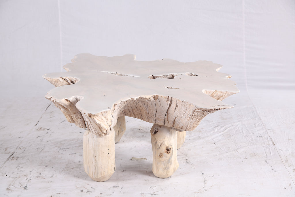 Bleached Free Form Living Edge Coffee Table 34