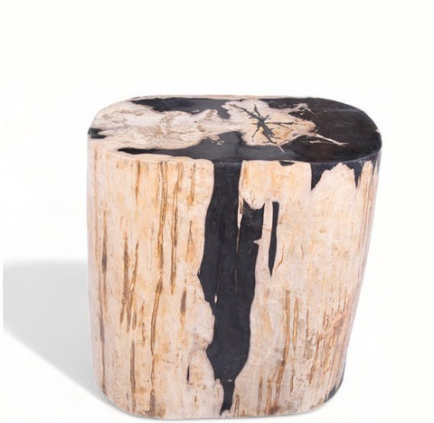 Large Oval Petrified Wood Accent Table or Side Table 2 - Dyag East