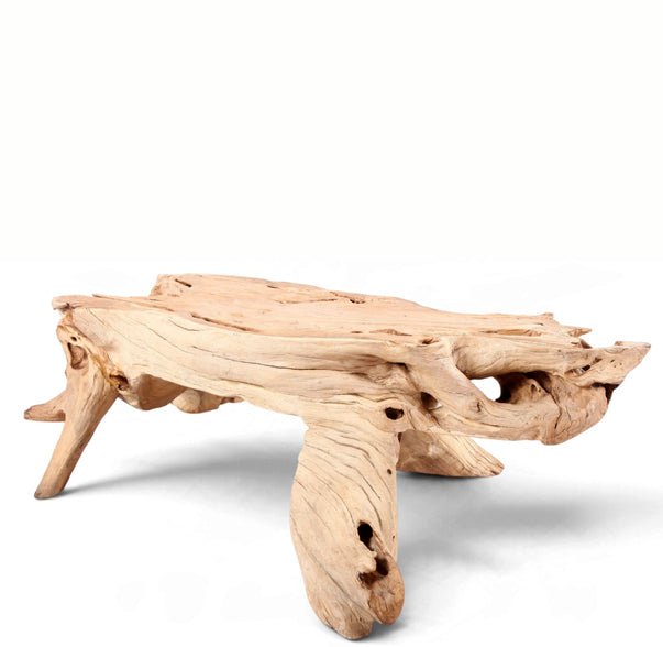 Natural Wood Organic Rectangular Coffee Table - Dyag East
