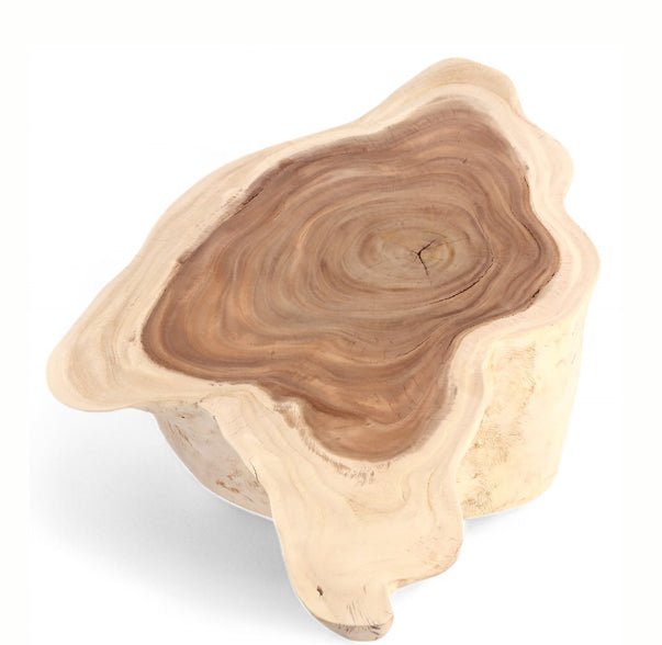 Nature Free Form Block Coffee Table - Dyag East