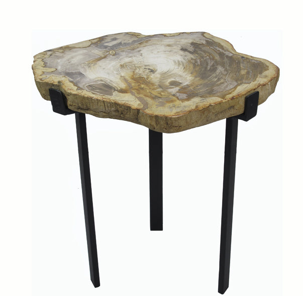 Petrified Wood Top w Iron Stand Accent Table 15 - Dyag East