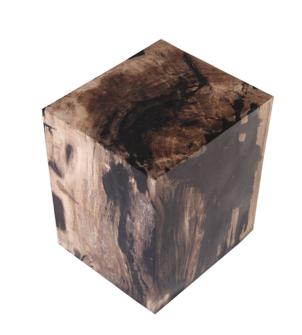 Petrified Wood Stool Accent Table 6 - Dyag East