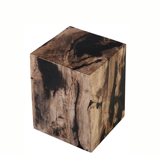 Petrified Wood Stool Accent Table 7 - Dyag East