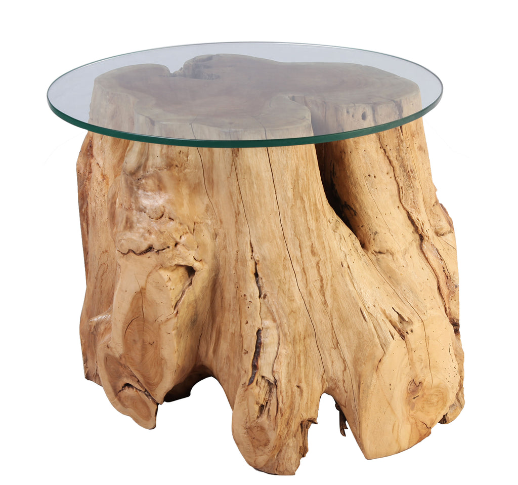 Z-Nature Root Accent or Side Table 4
