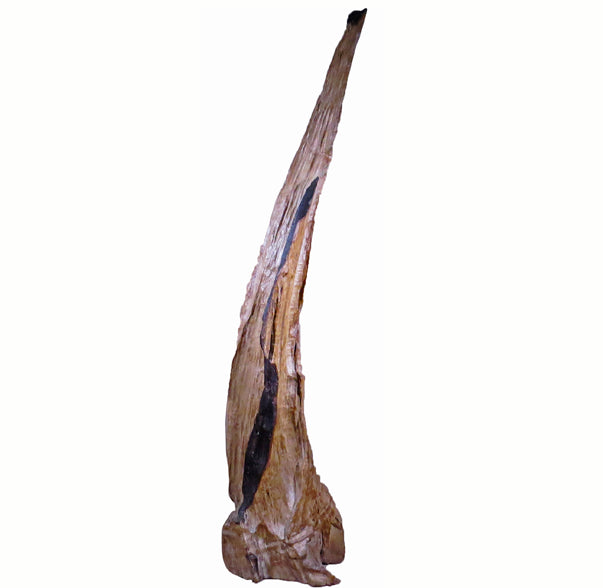 Organic Teak Root Sculpture 2 - Dyag East