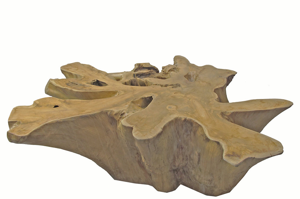 Natural Wood Color Organic Teak Root Coffee Table 33