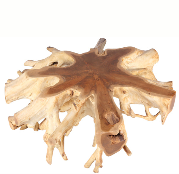 Round 36" Inch Organic Teak Root Coffee Table 28