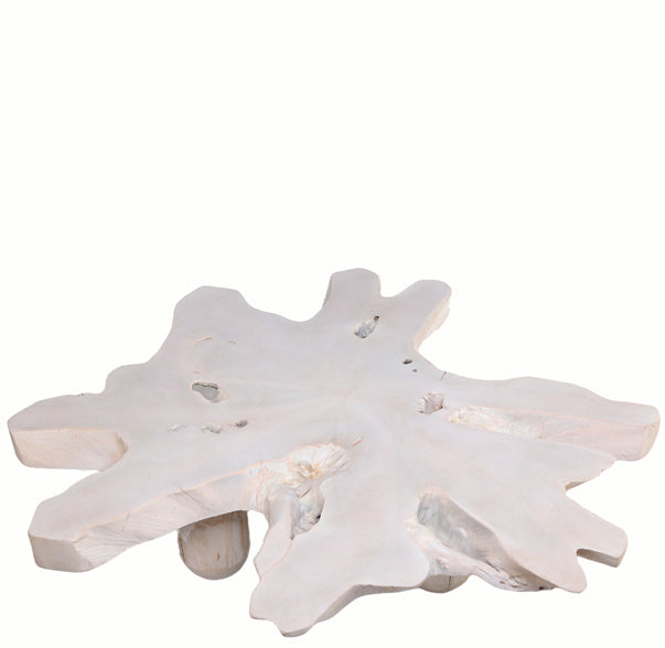 White Organic Teak Root Coffee Table 37