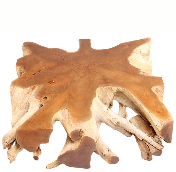 Square 36" Inch Organic Teak Root Coffee Table 52