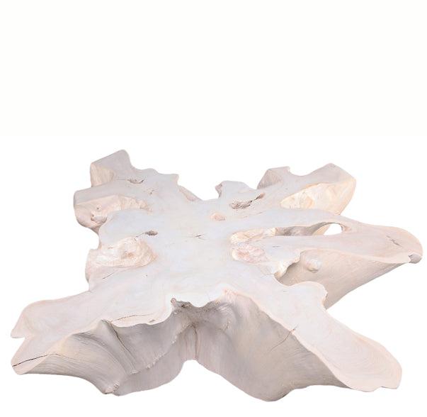 Organic Teak Root Coffee Table 74-White Wash
