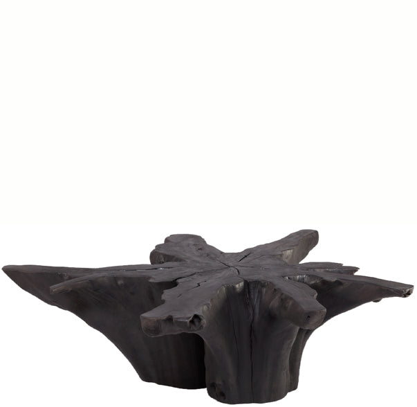 Black Burnt Organic Teak Root  Coffee Table 81