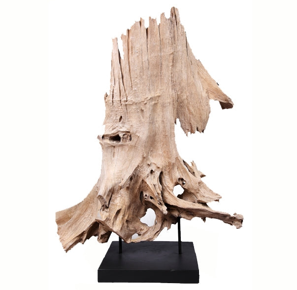 Organic Teak Root Sculpture- 53" Inch Tall
