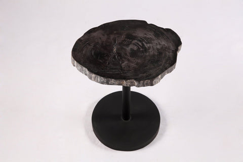 Living Edge Petrified Wood Top w Black Metal Stand Accent Table or Side Table 59 - Dyag East