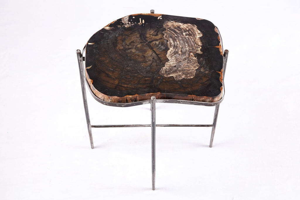 Living Edge Petrified Wood Top w Iron Stand Accent Table or Side Table 50 - Dyag East