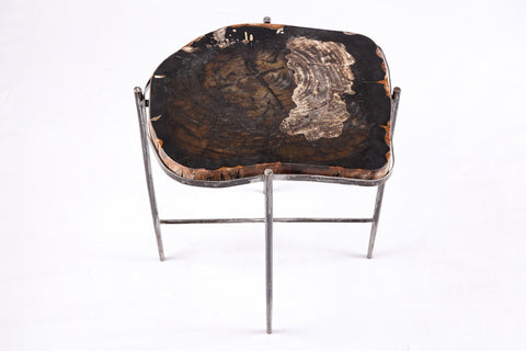 Living Edge Petrified Wood Top w Iron Stand Accent Table or Side Table 50 - Dyag East