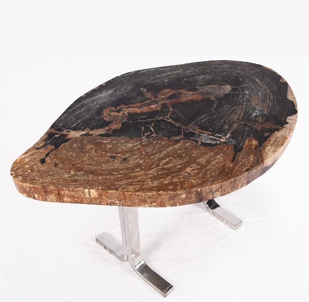 One Slab Living Edge Petrified Wood Console Table w Stainless Stand 52 - Dyag East
