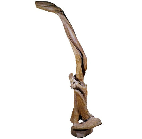 Organic Floor Teak Root Sculpture 1 - Dyag East