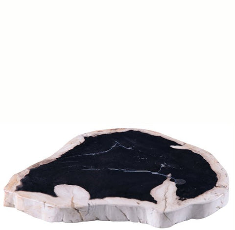 Petrified Wood Board - Dyag East