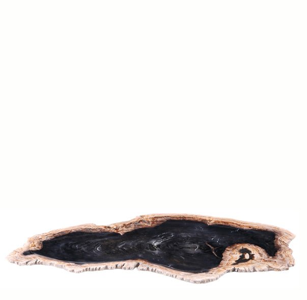 Petrified Wood Board 3 - Dyag East