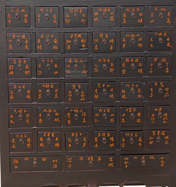 19th Century Chinese Apothecary Cabinet - Dyag East