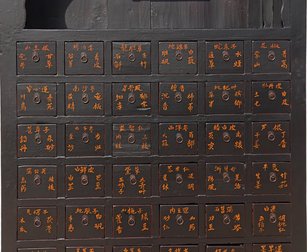 19th Century Chinese Apothecary Cabinet - Dyag East
