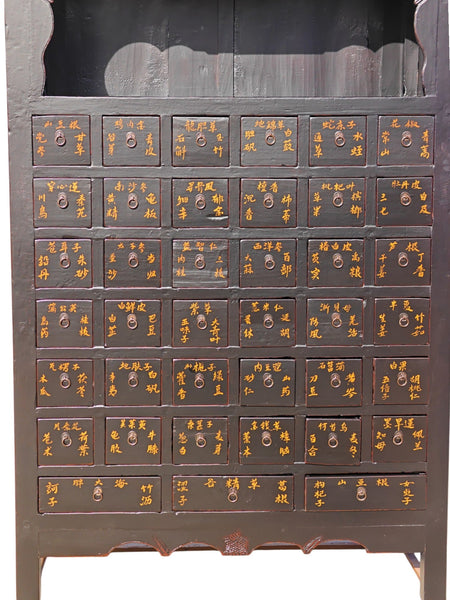 19th Century Pair of Chinese Apothecary Cabinets - Dyag East