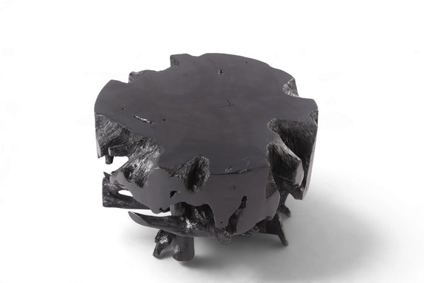 30” Diameter Black Teak Root Coffee Table 4 - Dyag East
