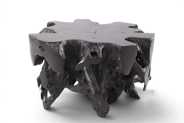 30” Diameter Black Teak Root Coffee Table - Dyag East