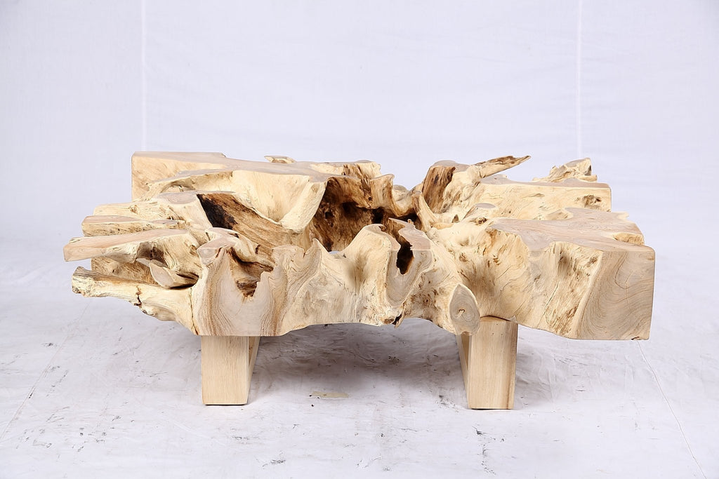 48” Inch Rectangular Sculptured Teak Root Coffee Table 241B - Dyag East