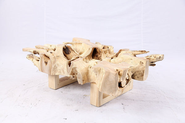48” Inch Rectangular Sculptured Teak Root Coffee Table 241B - Dyag East