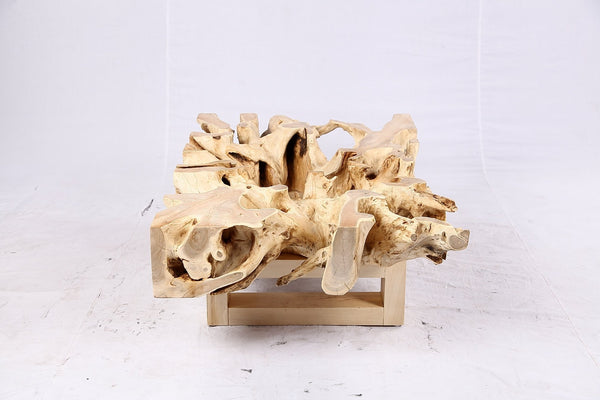 48” Inch Rectangular Sculptured Teak Root Coffee Table 241B - Dyag East