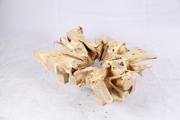 48” Inch Rectangular Sculptured Teak Root Coffee Table 243B - Dyag East