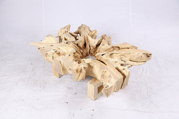 48” Inch Rectangular Sculptured Teak Root Coffee Table 243B - Dyag East
