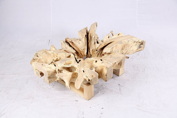 48” Inch Rectangular Sculptured Teak Root Coffee Table 243B - Dyag East