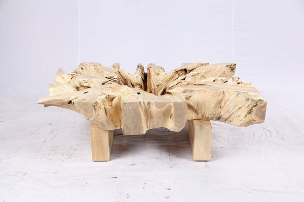 48” Inch Rectangular Sculptured Teak Root Coffee Table 243B - Dyag East