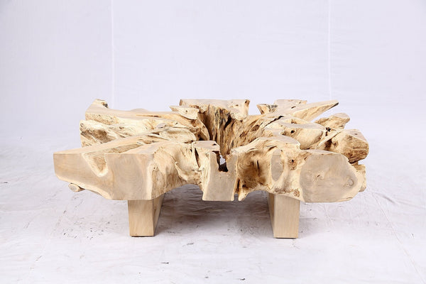 48” Inch Rectangular Sculptured Teak Root Coffee Table 243B - Dyag East