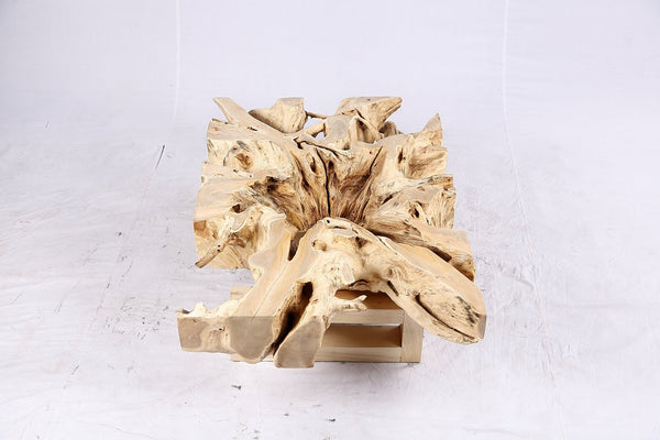 48” Inch Rectangular Sculptured Teak Root Coffee Table 243B - Dyag East