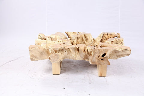 48” Inch Rectangular Sculptured Teak Root Coffee Table 244B - Dyag East