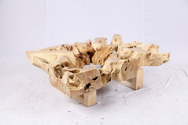 48” Inch Rectangular Sculptured Teak Root Coffee Table 244B - Dyag East