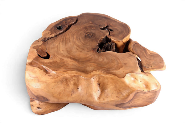 61” Wide Natural Form Organic Teak Root Coffee Table - Dyag East