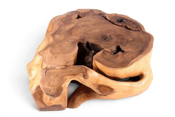 61” Wide Natural Form Organic Teak Root Coffee Table - Dyag East
