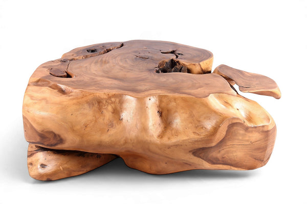 61” Wide Natural Form Organic Teak Root Coffee Table - Dyag East